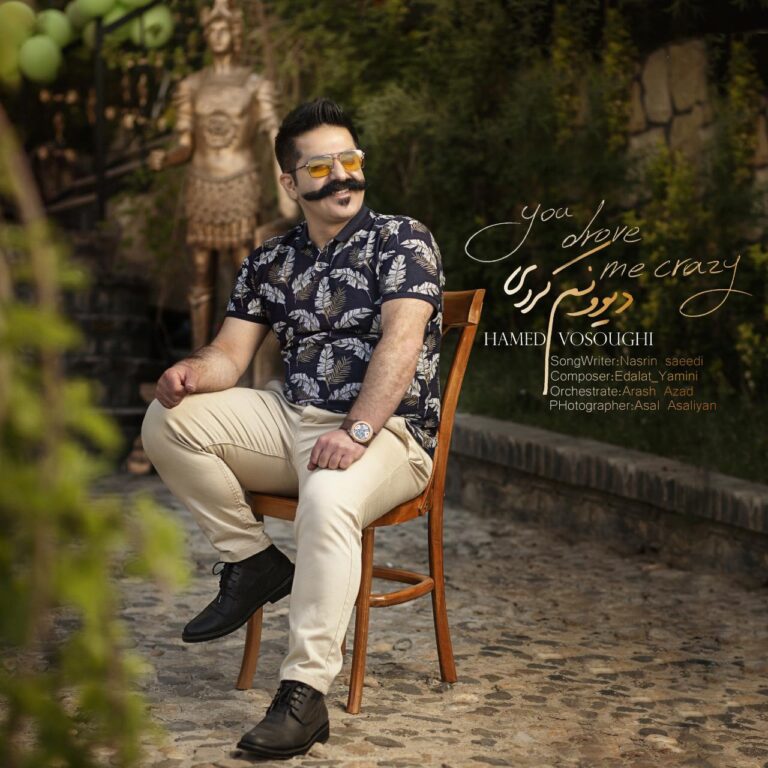 دانلود آهنگ  حامد وثوقی دیوونم کردی